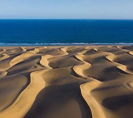 Cabosos2 First Line *